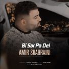 دانلود آهنگ بی سرو پا دل امیر شهرایینی &bull; سوپر موزیک