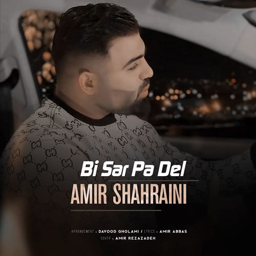 دانلود آهنگ بی سرو پا دل امیر شهرایینی &bull; سوپر موزیک
