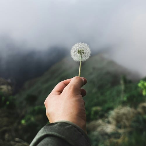 دانلود آهنگ مروارید دور گردنت خودم دیدم میبندی ریمیکس &bull; سوپر موزیک