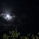 دانلود آهنگ کیمسه سورماز حالیمی هوش مصنوعی &bull; سوپر موزیک