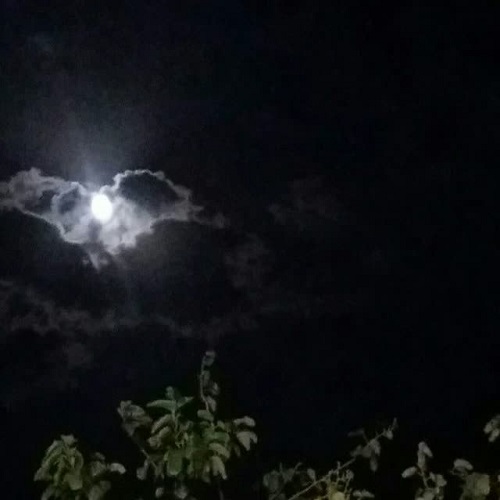 دانلود آهنگ کیمسه سورماز حالیمی هوش مصنوعی &bull; سوپر موزیک
