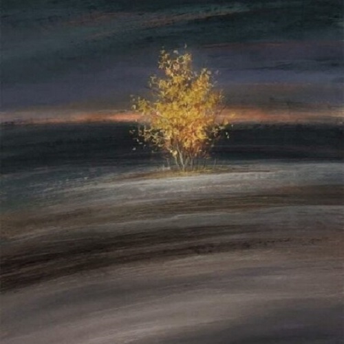 آهنگ دیاری دیاری نسه میبی سی اشاره می دل بونه پاره از عطایی