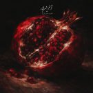 دانلود آهنگ آخرین انار ناجی &bull; سوپر موزیک