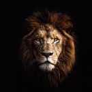 دانلود آهنگ انگار شدم یکی دیگه دیگه افتاده دویم آدما شایع &bull; سوپر موزیک