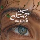 دانلود آهنگ جنگل سینا پارسیان &bull; سوپر موزیک