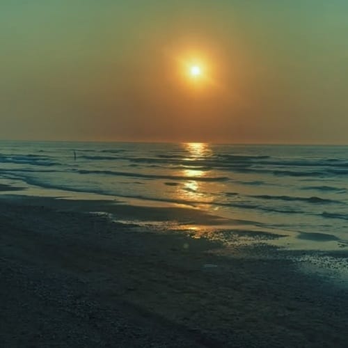 دانلود آهنگ بیا ببین حالم بده چی به روز من اومده ندیم &bull; سوپر موزیک