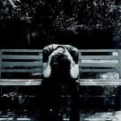 دانلود آهنگ تو مرا دعوت کن به شهر چشمات تو مرا مهمون ستاره ها کن مهسا خسروانی &bull; سوپر موزیک