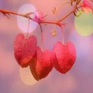 دانلود همه آهنگ های عاشقانه 2026 &bull; سوپر موزیک