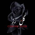 دانلود آهنگ گل رز محمد پتی آبادی &bull; سوپر موزیک
